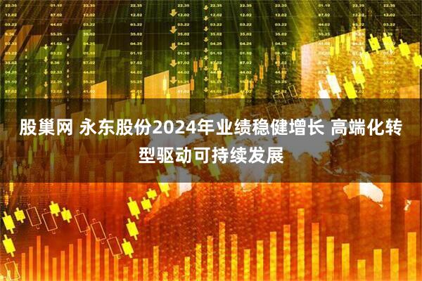 股巢网 永东股份2024年业绩稳健增长 高端化转型驱动可持续发展